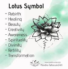 Lotus 3-D