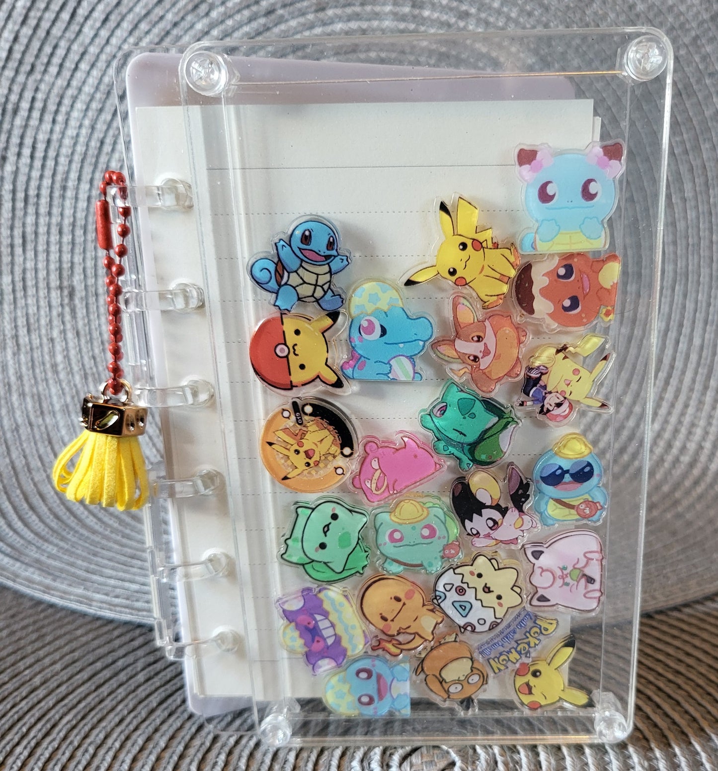 Pokemon Acrylic Shaker Book (Small)