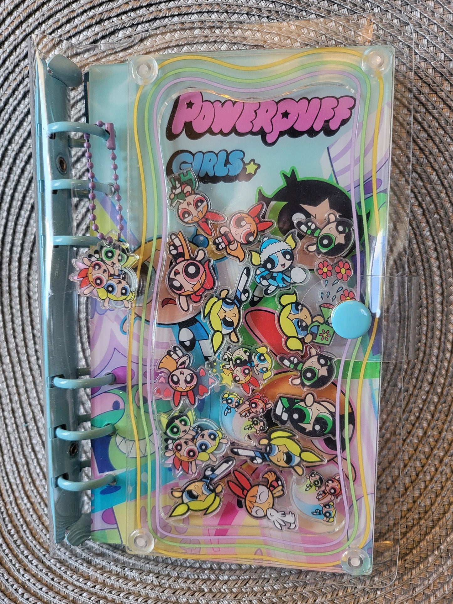 Powerpuff Girls With Protector Acrylic Shaker Book (Medium)