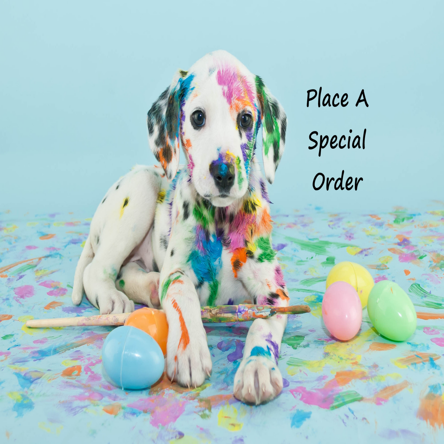 Place A Special Order