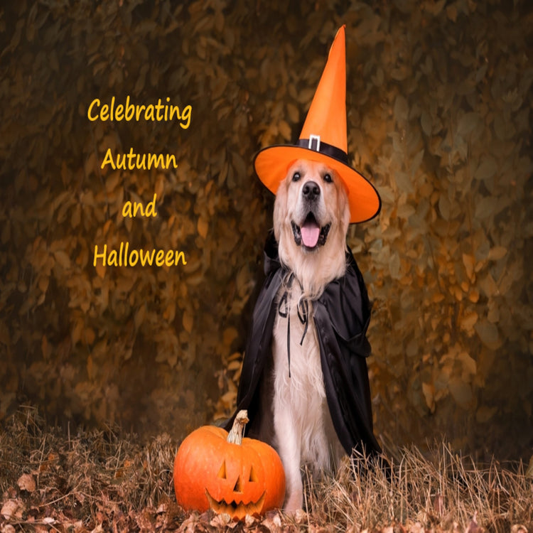 Autumn, Thanksgiving and Halloween