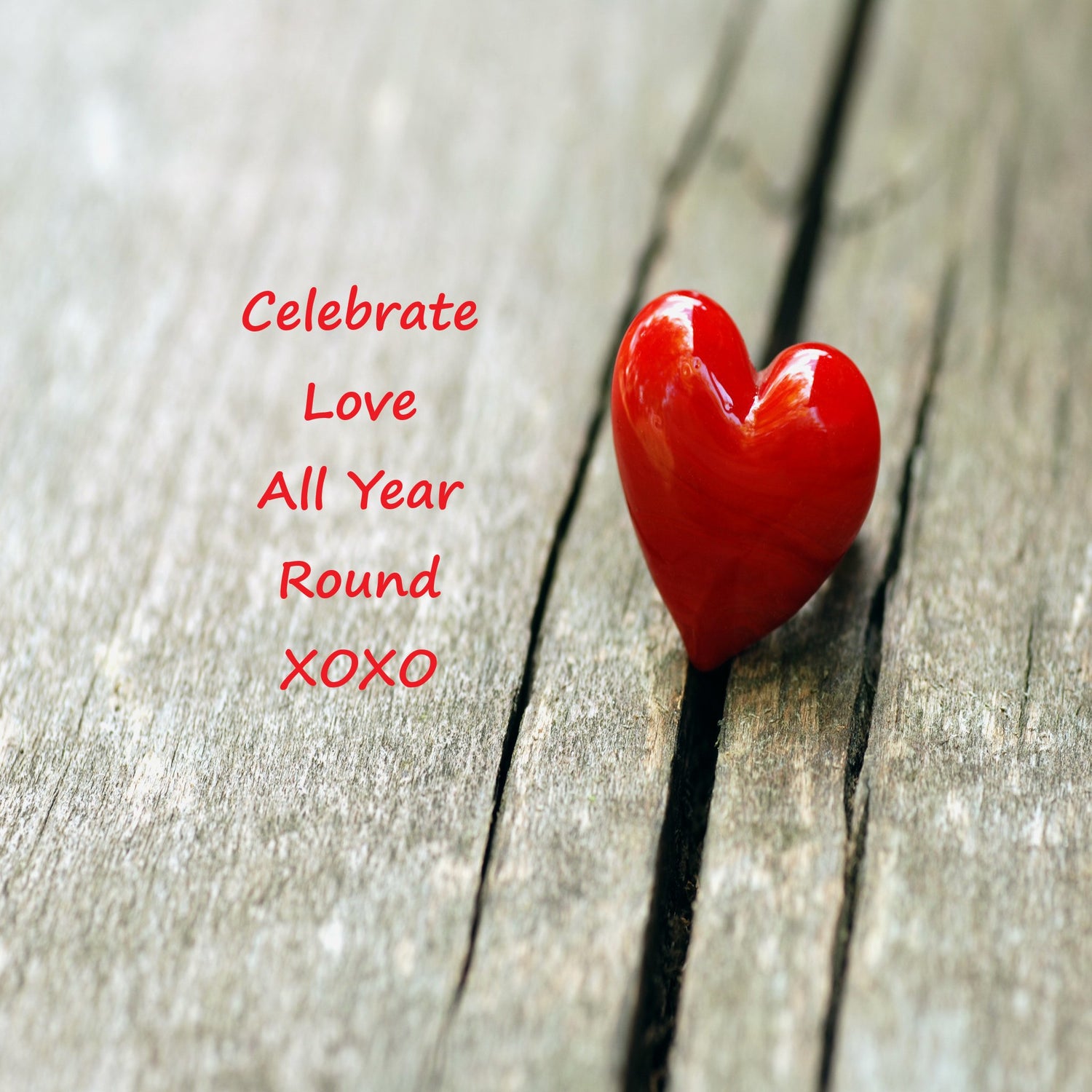 Celebrate Love All Year Round
