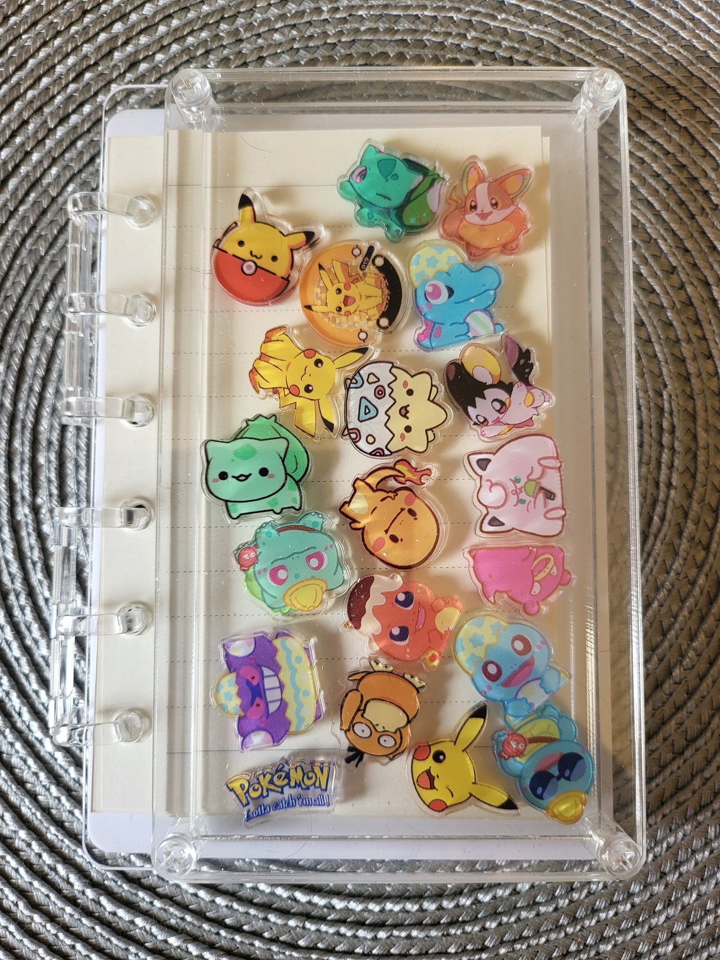 Pokemon Shaker Book